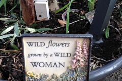 Дикие цветы выращенные дикой женщиной. Послание от суфражисток прошлого столетия.
