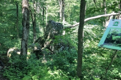 8 Bogit Chernobog megalith