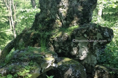 9 Bogit Chernobog megalith