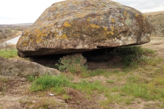 Камень черепаха.